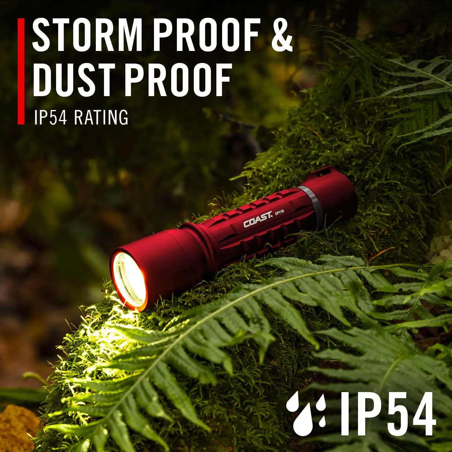XP11R Red