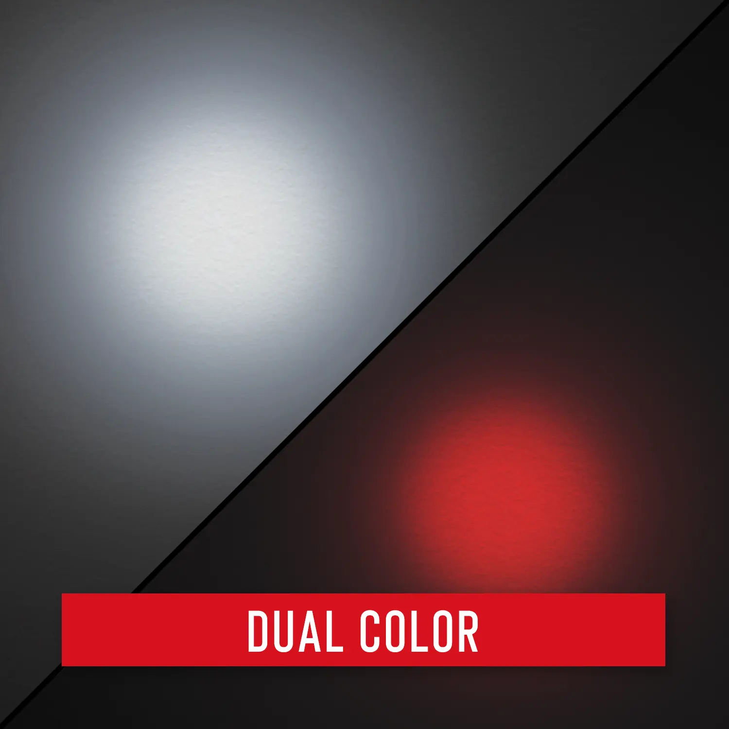PX20 4 PX20